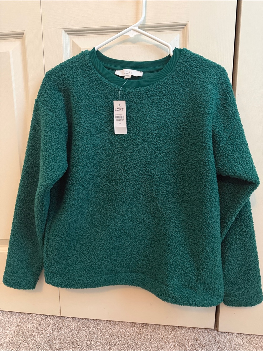 LOFT Teal Green Sherpa Crewneck Sweater